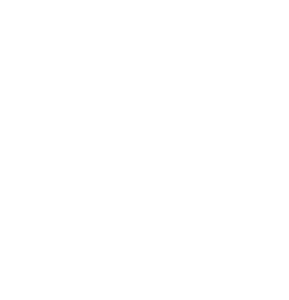 Yaser Dzhamus (Jamous) logo